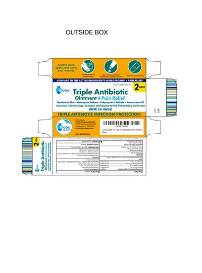 430702-fba Globe Triple Antibiotic Ointment Pain Relief 1oz 2pk Box 111824 Cder Jw (430702 Fba Globe Triple Antibiotic Ointment Pain Relief 1oz 2pk Box 111824 Cder Jw)
